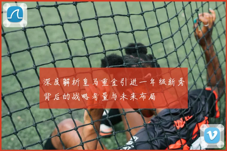 深度解析皇马重金引进一年级新秀背后的战略考量与未来布局