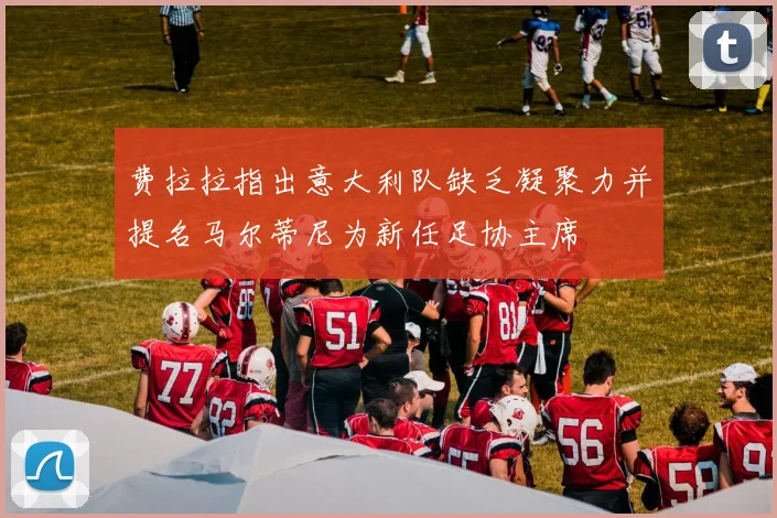 费拉拉指出意大利队缺乏凝聚力并提名马尔蒂尼为新任足协主席